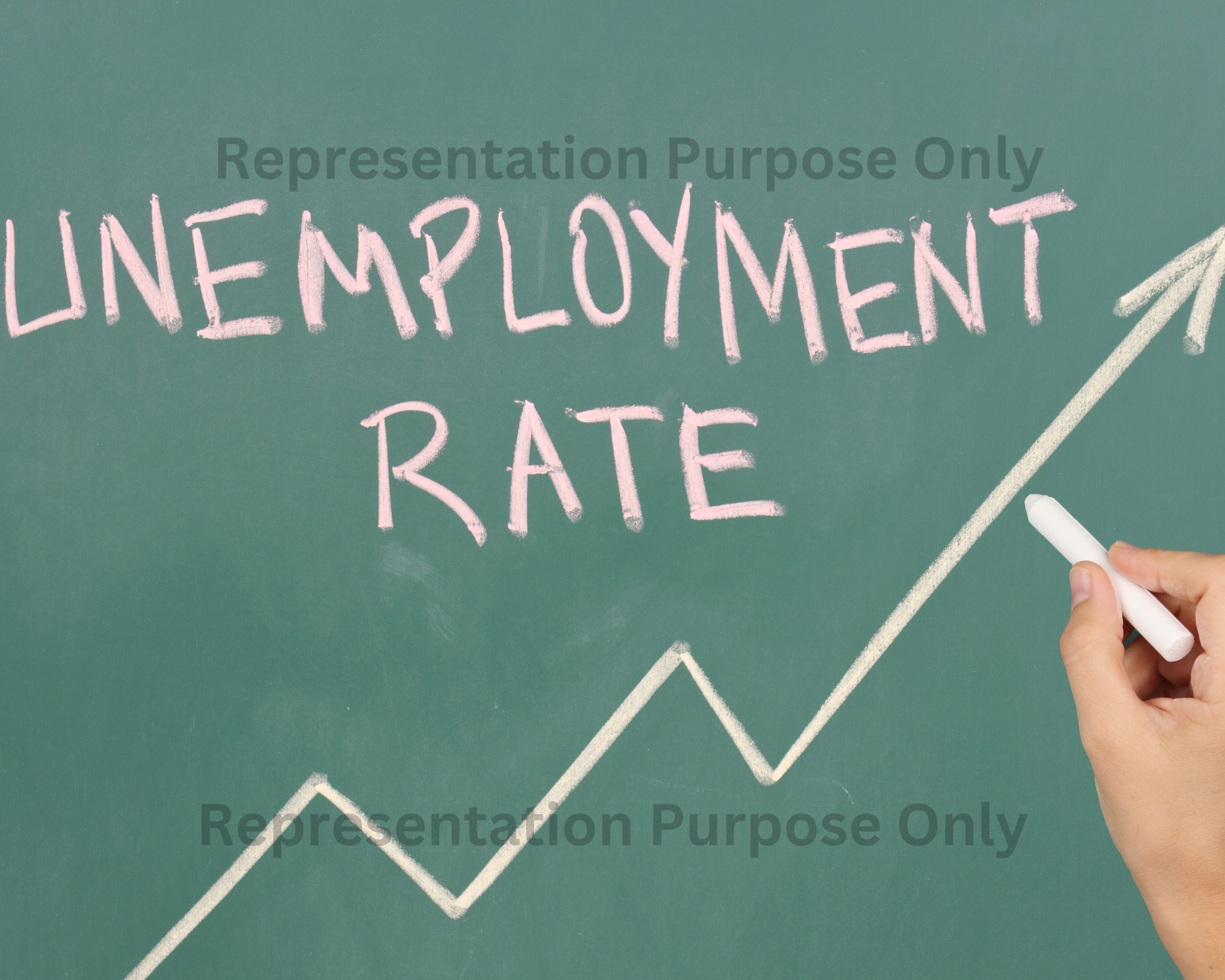 Unemployment Rate in New Zealand: A Closer Look